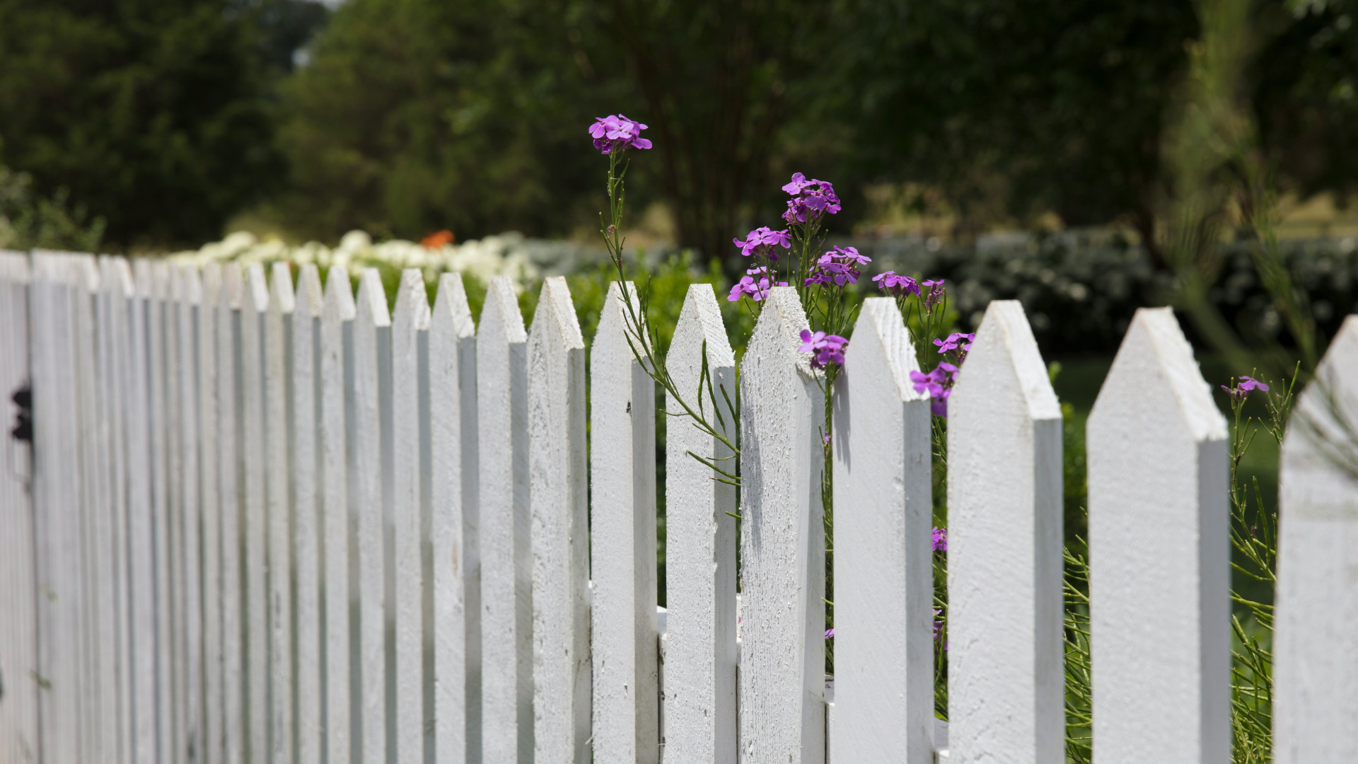 Quel artisan pour poser une clôture de jardin ?